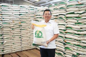 Bansos Beras 20 Kg: Realisasi 95% Juli 2025?