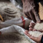 Harga Beras Meroket: 150 Daerah Terdampak, Simak!