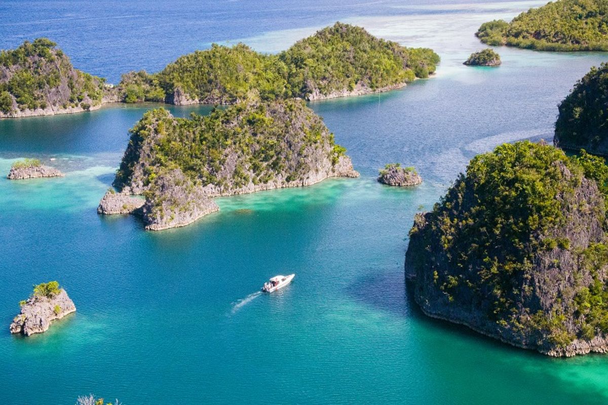 Hilang Misterius: Kapal Nikel JKW Dewi Iriana Raja Ampat
