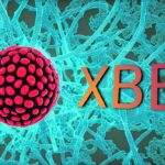 Hoaks! Omicron XBB Bukan Penyebab Lonjakan Kasus Covid-19
