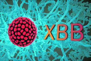 Hoaks! Omicron XBB Bukan Penyebab Lonjakan Kasus Covid-19