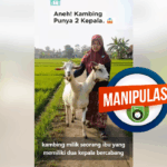 Kambing Dua Kepala? Fakta Mengejutkan di Balik Video AI Viral