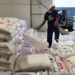 Pupuk Subsidi Langsung Petani: Pemerintah Hapus Ratusan Aturan!