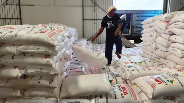Pupuk Subsidi Langsung Petani: Pemerintah Hapus Ratusan Aturan!