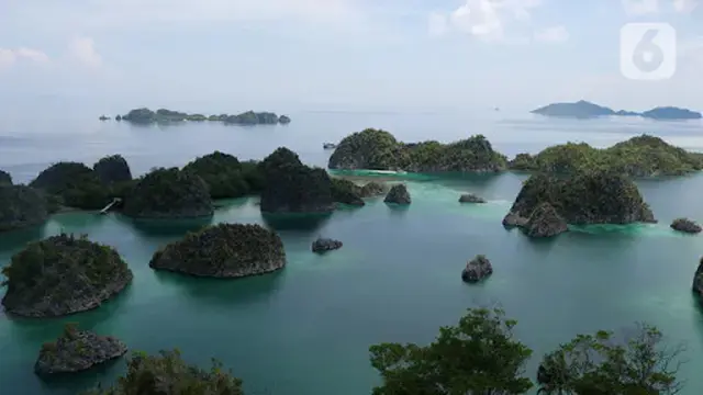 Reformasi Aturan Pulau Kecil Cegah Tragedi Tambang Raja Ampat