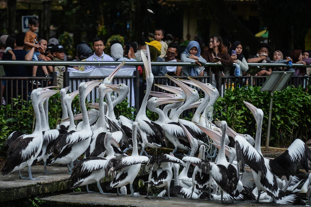 01kmafkp2r7v285zkytgcq9rxy