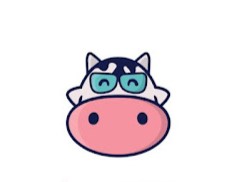 Lowongan Kerja Host Live Streaming – Kacamatamoo