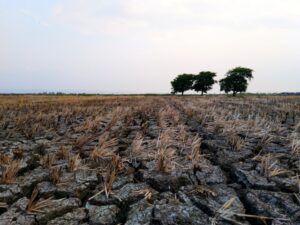 Super El Niño Berpotensi Terjadi pada 2026, Suhu Global Diprediksi Meningkat