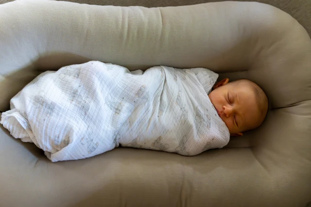 MenPAN-RB: Bayi WNI Lahir di Indonesia Bakal Otomatis Terdaftar BPJS Kesehatan Aktif