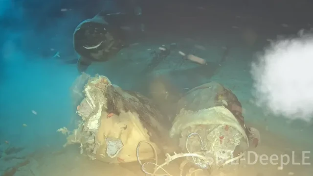 Eksperimen Laut Dalam Ungkap Kemunculan Hiu Langka di Laut China Selatan